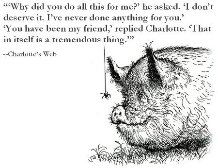 charlottes-web